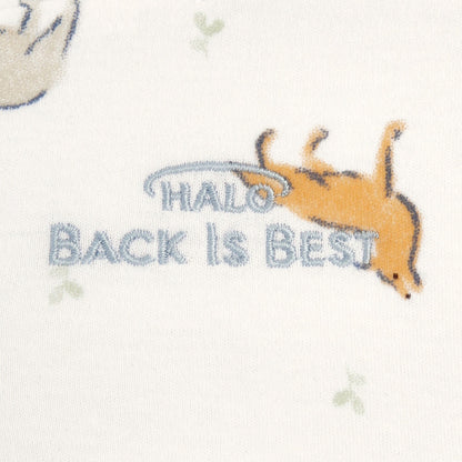 Halo® SleepSack® Swaddle for 3 – 6 Month Old Babies, Forest Friends Print