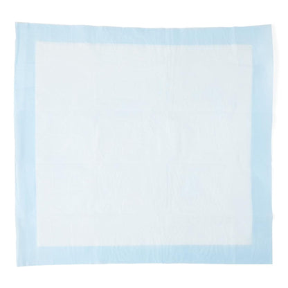 Protection Plus Disposable Underpad Fluff Light Absorbency