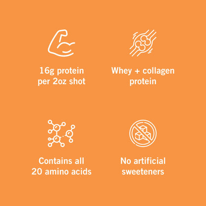 Vidafuel Wellness Protein Drink with Collagen and Whey, Berry Delight Flavor