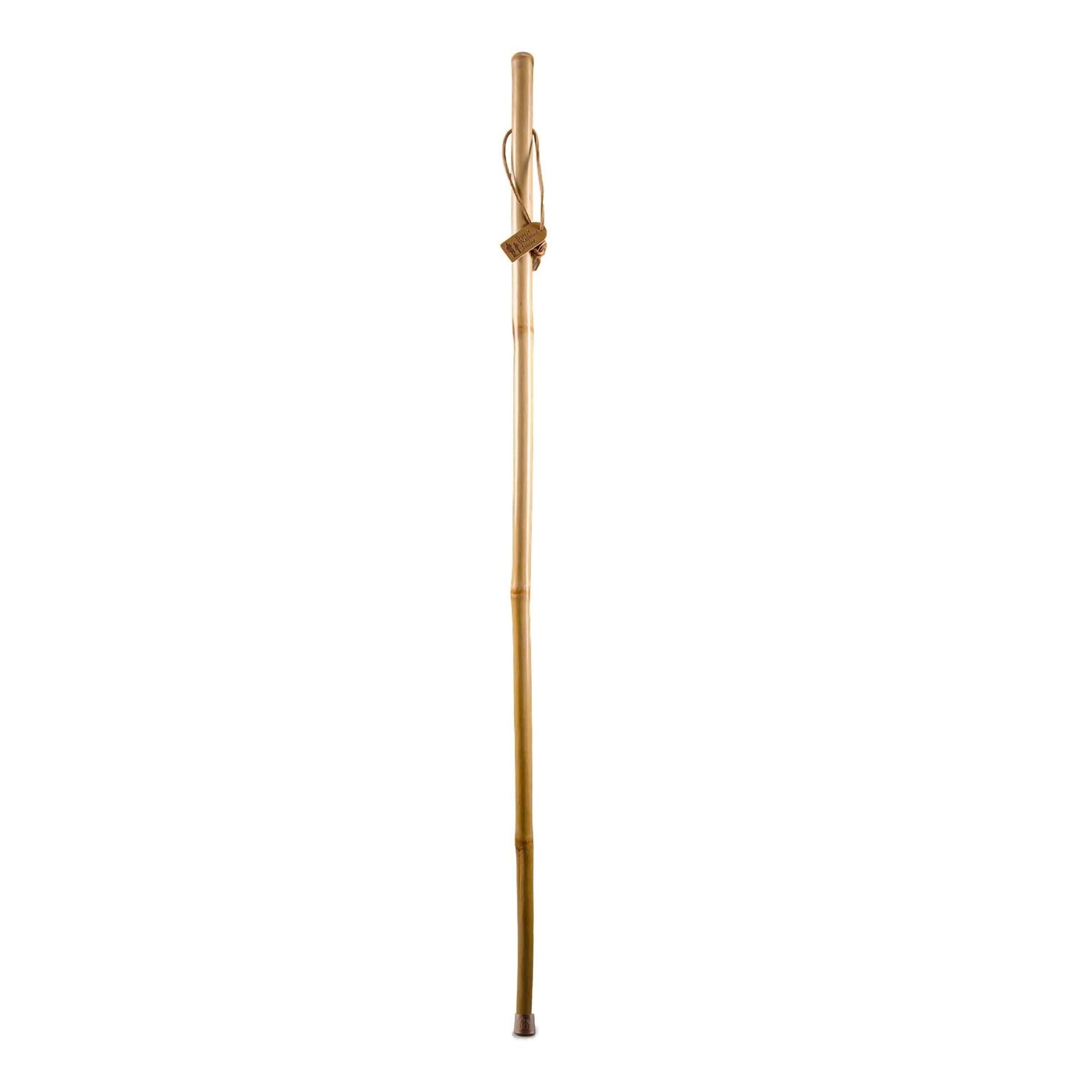 Brazos™ Iron Bamboo Rustic Walking Stick, 55 Inch Height