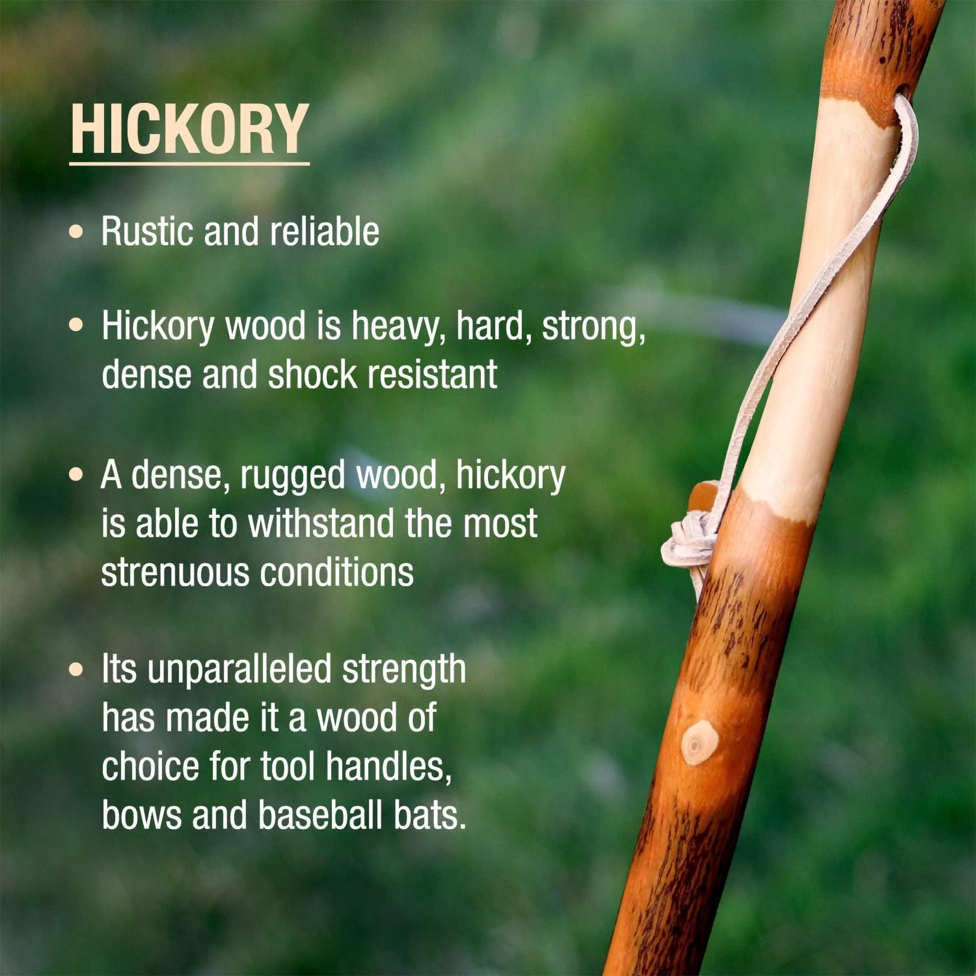 Brazos™ Twisted Hickory Rustic Walking Stick, 55-Inch Height