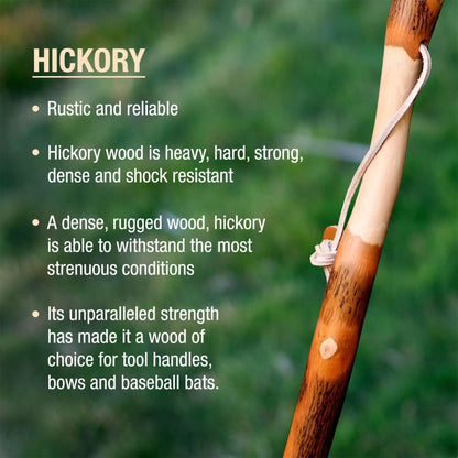 Brazos™ Twisted Hickory Rustic Walking Stick, 55-Inch Height