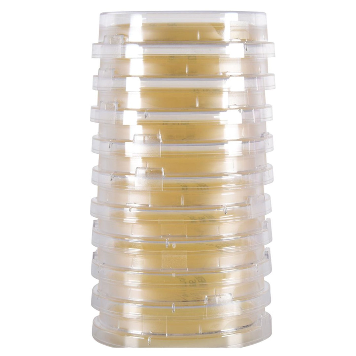 LokTight Growth Media Tryptic Soy Agar (TSA) with Lecithin and Tween Beige Contact Plate Format