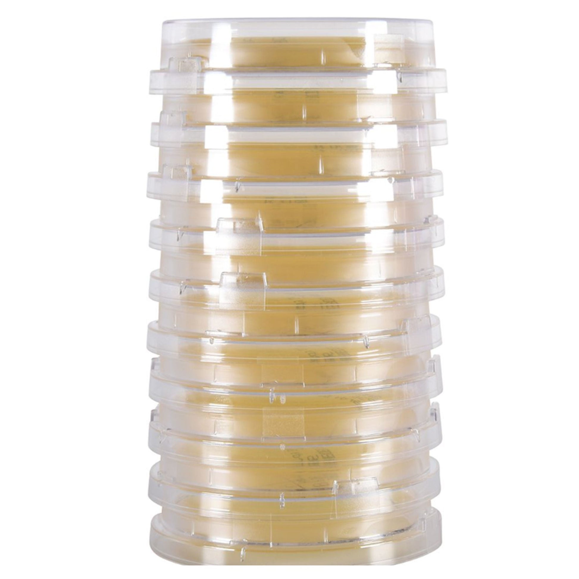 LokTight Growth Media Tryptic Soy Agar (TSA) with Lecithin and Tween Beige Contact Plate Format