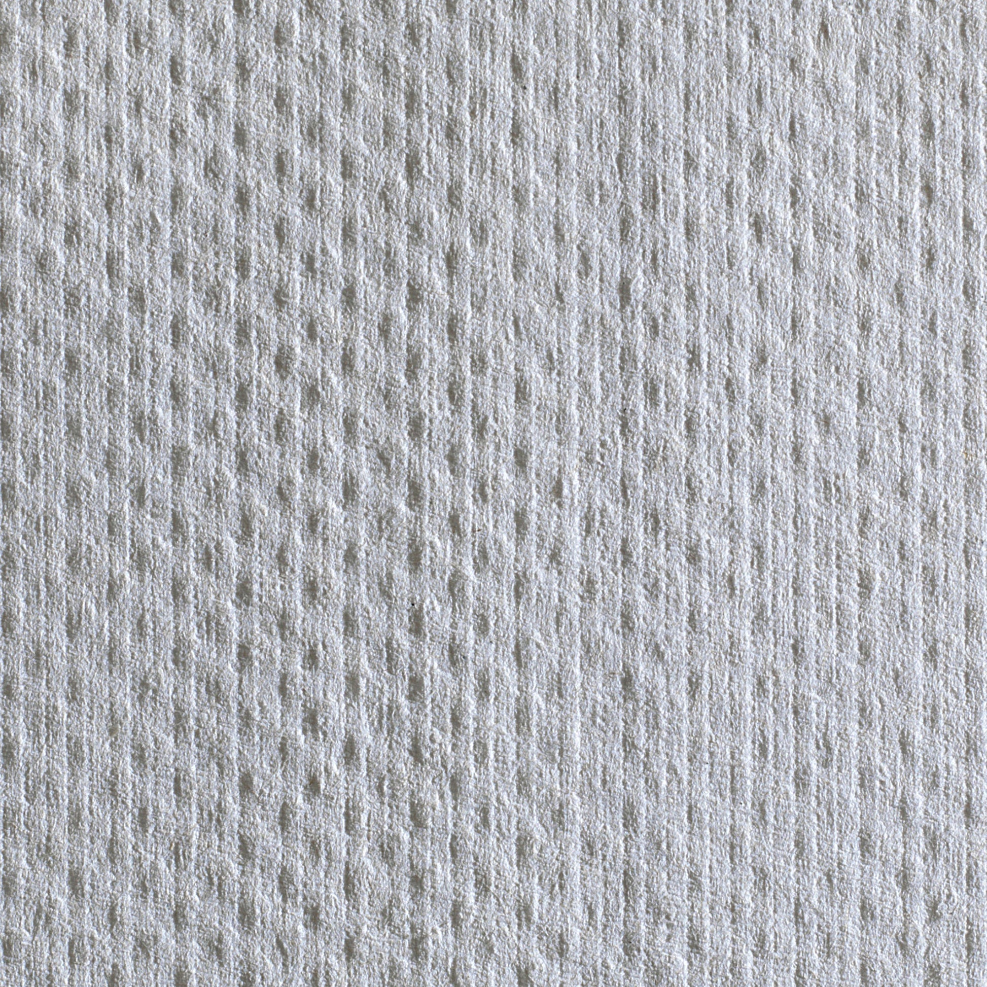 Pacific Blue Basic™ Paper Towel, 240