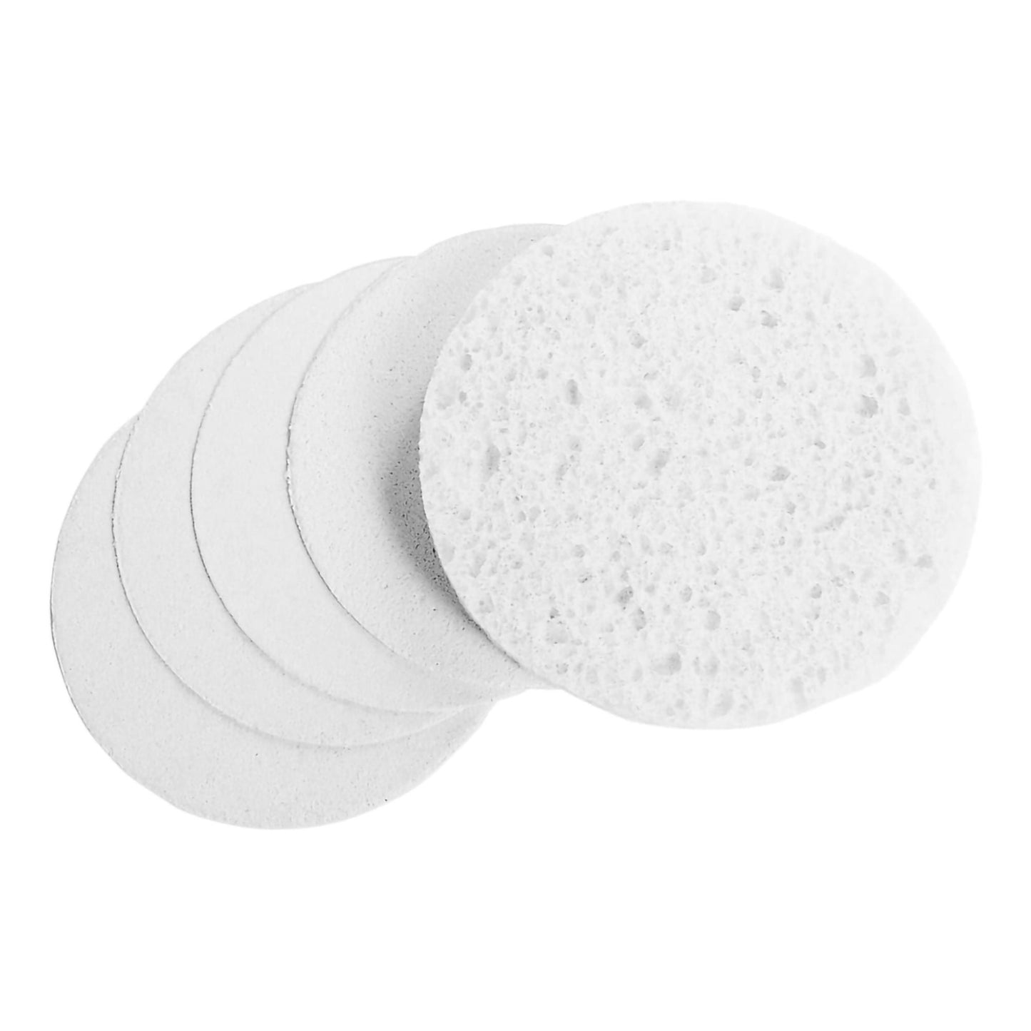Prosana Facial Sponge