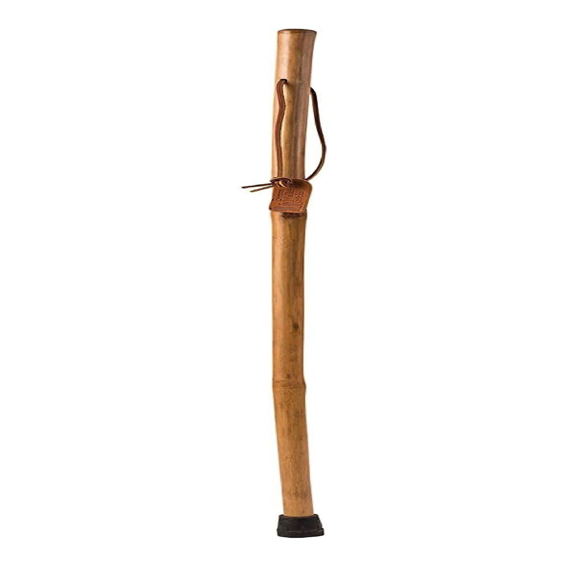 Brazos™ Iron Bamboo Rustic Walking Stick, 58 Inch Height, Red