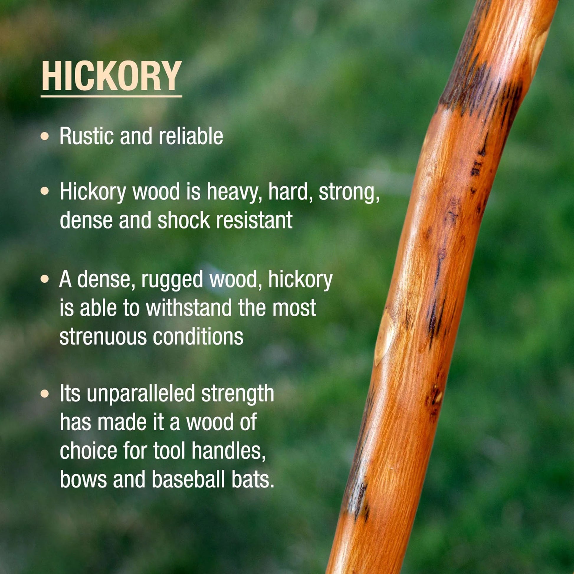 Brazos™ Exotic Leather Safari Hickory Rustic Walking Stick, 55-Inch