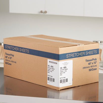 McKesson Blue Flat Stretcher Sheet