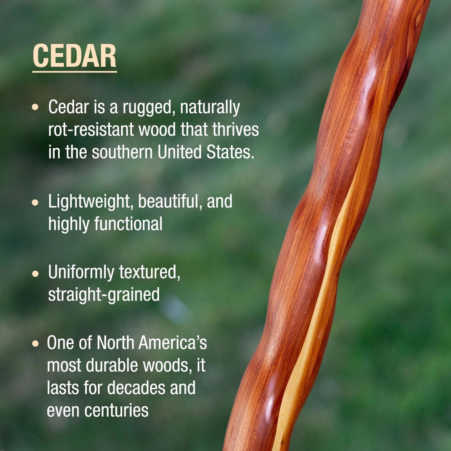 Brazos™ Twisted Cedar Backpacker Handcrafted Walking Stick, 58-Inch