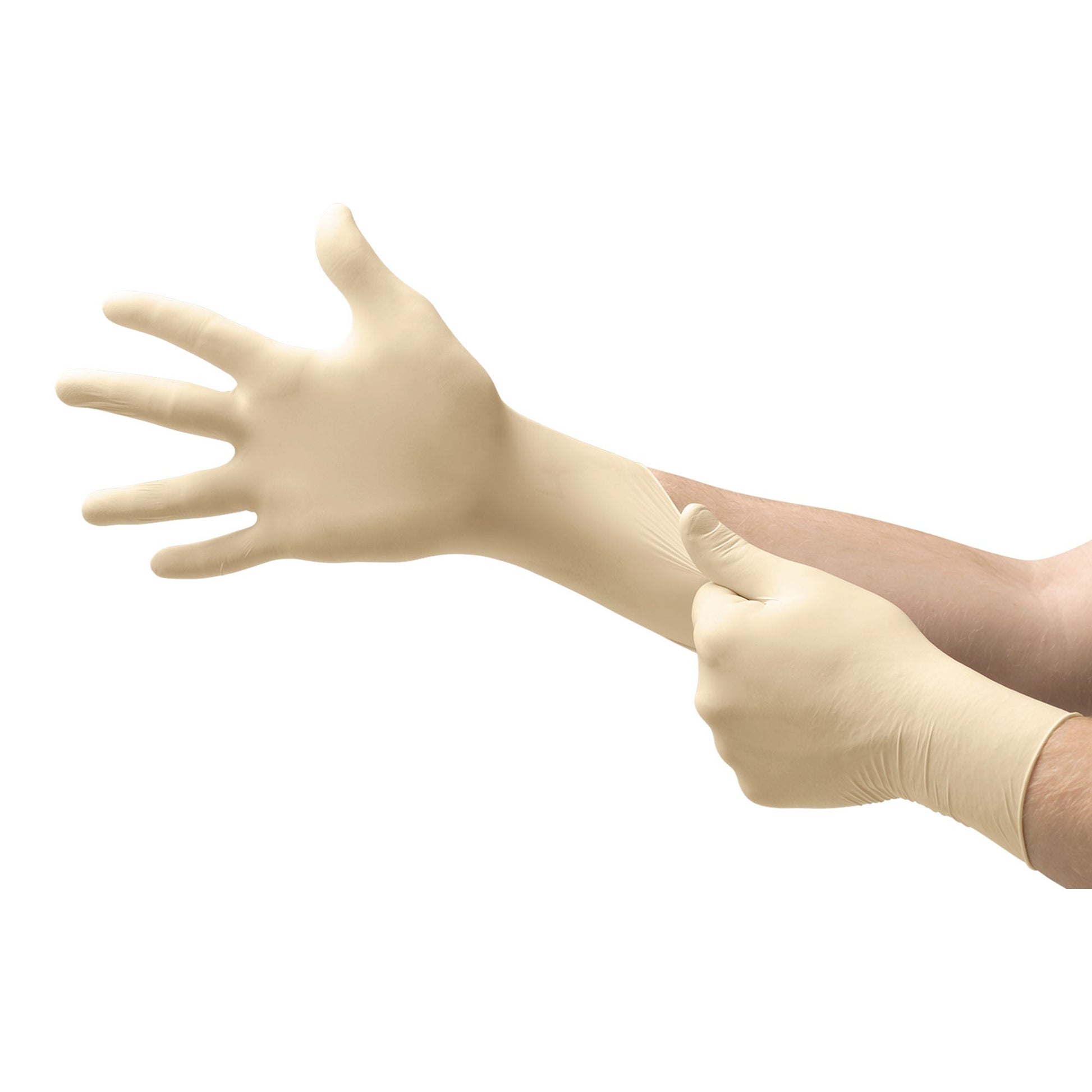 Evolution One® Latex Exam Gloves, White - view 2
