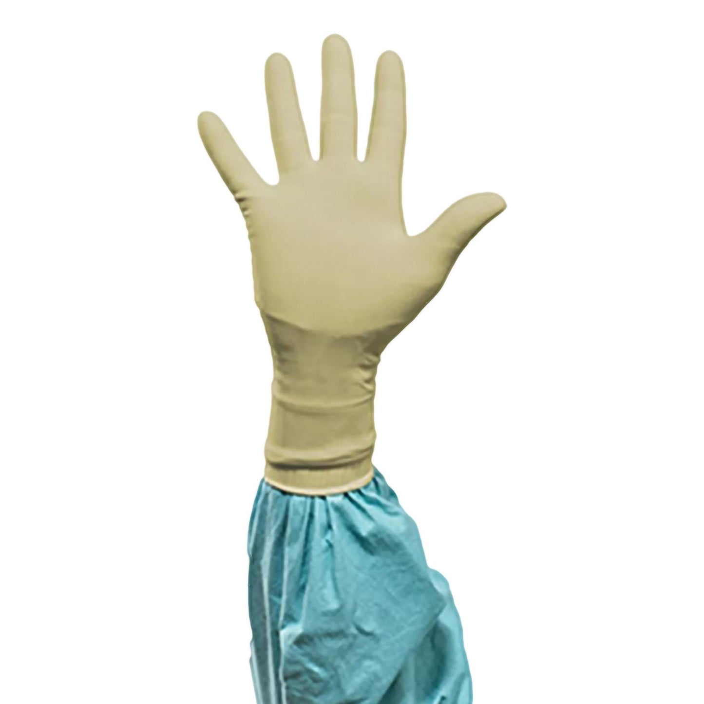 Sterile Biogel® PI Polyisoprene Surgical Gloves, Ivory - view 6