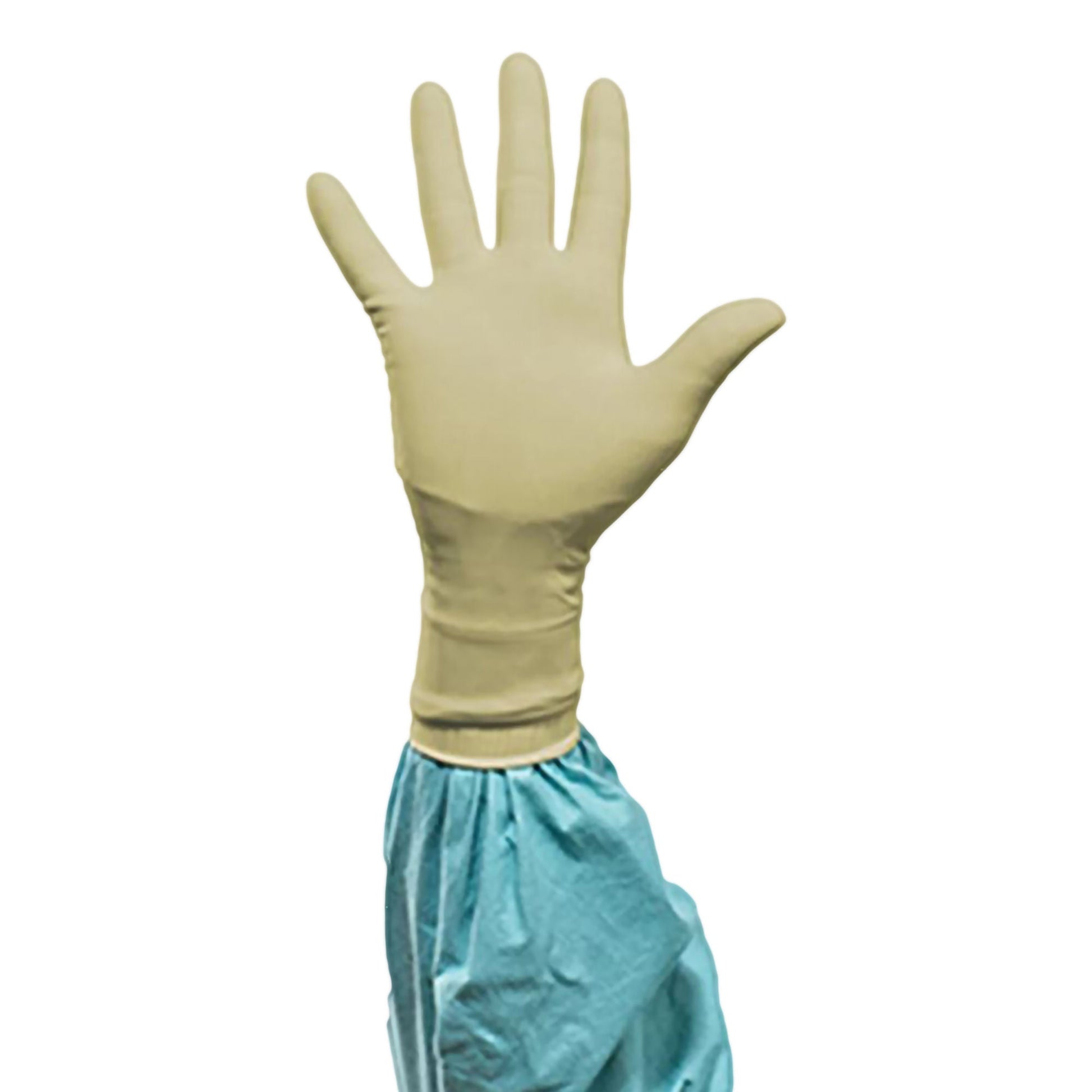 Sterile Biogel® PI Polyisoprene Surgical Gloves, Ivory - view 6