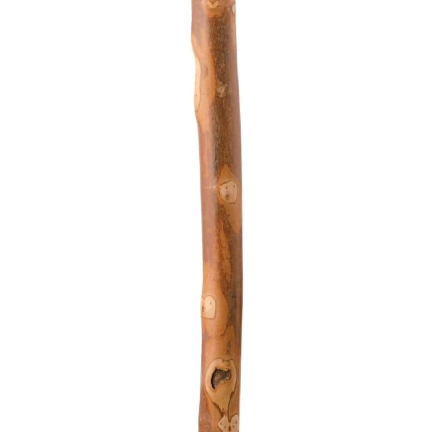 Brazos™ Walking Stick with Compass, 55-Inch Height