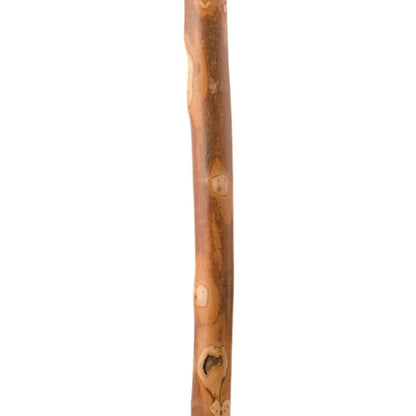 Brazos™ Walking Stick with Compass, 55-Inch Height