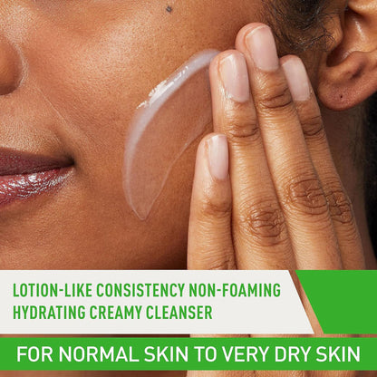 CeraVe® Foaming Facial Cleanser for Normal to Oily Skin, Pump Bottle