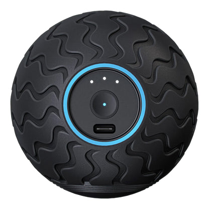 Wave Solo Vibration Therapy Exercise Ball