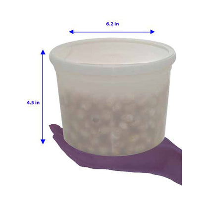 OakRidge Lab Storage Container