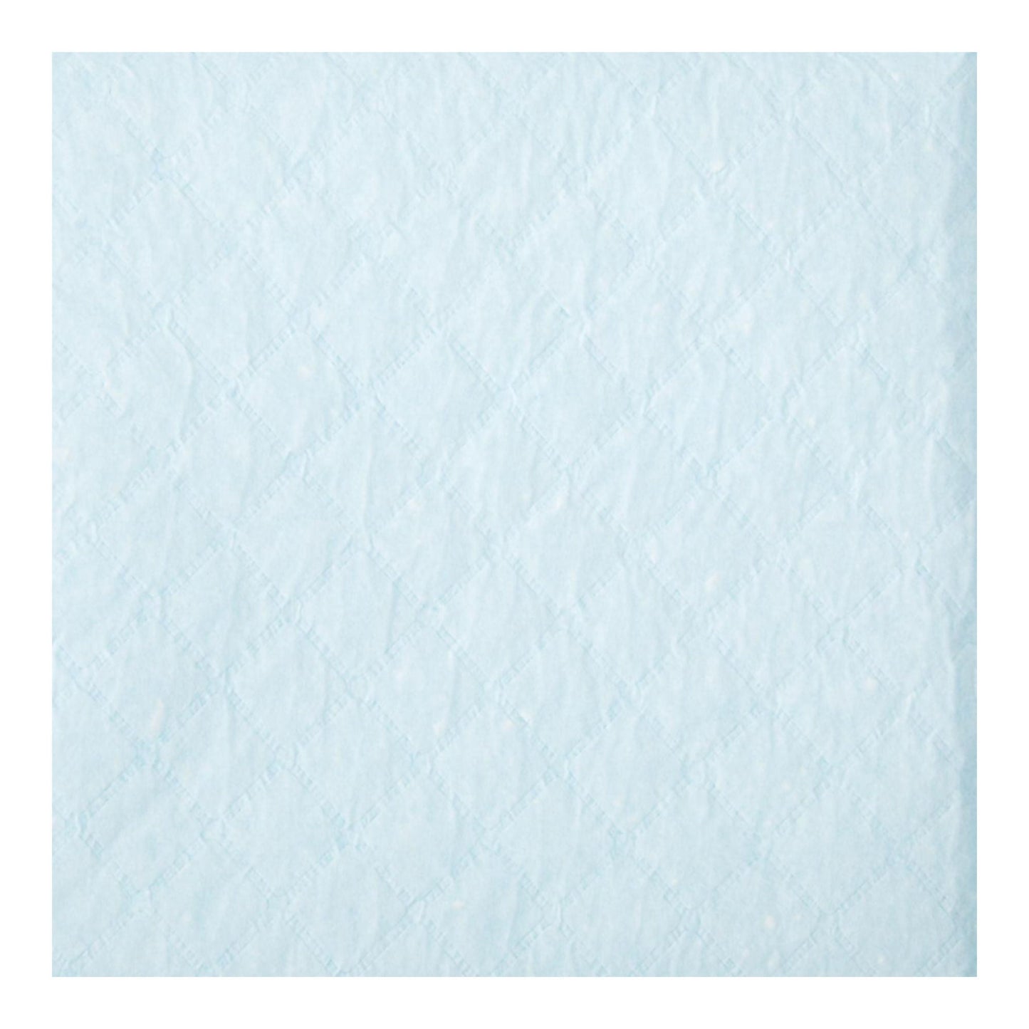 Protection Plus® Disposable Underpads from Medline, 23 Inch x 1 Yard