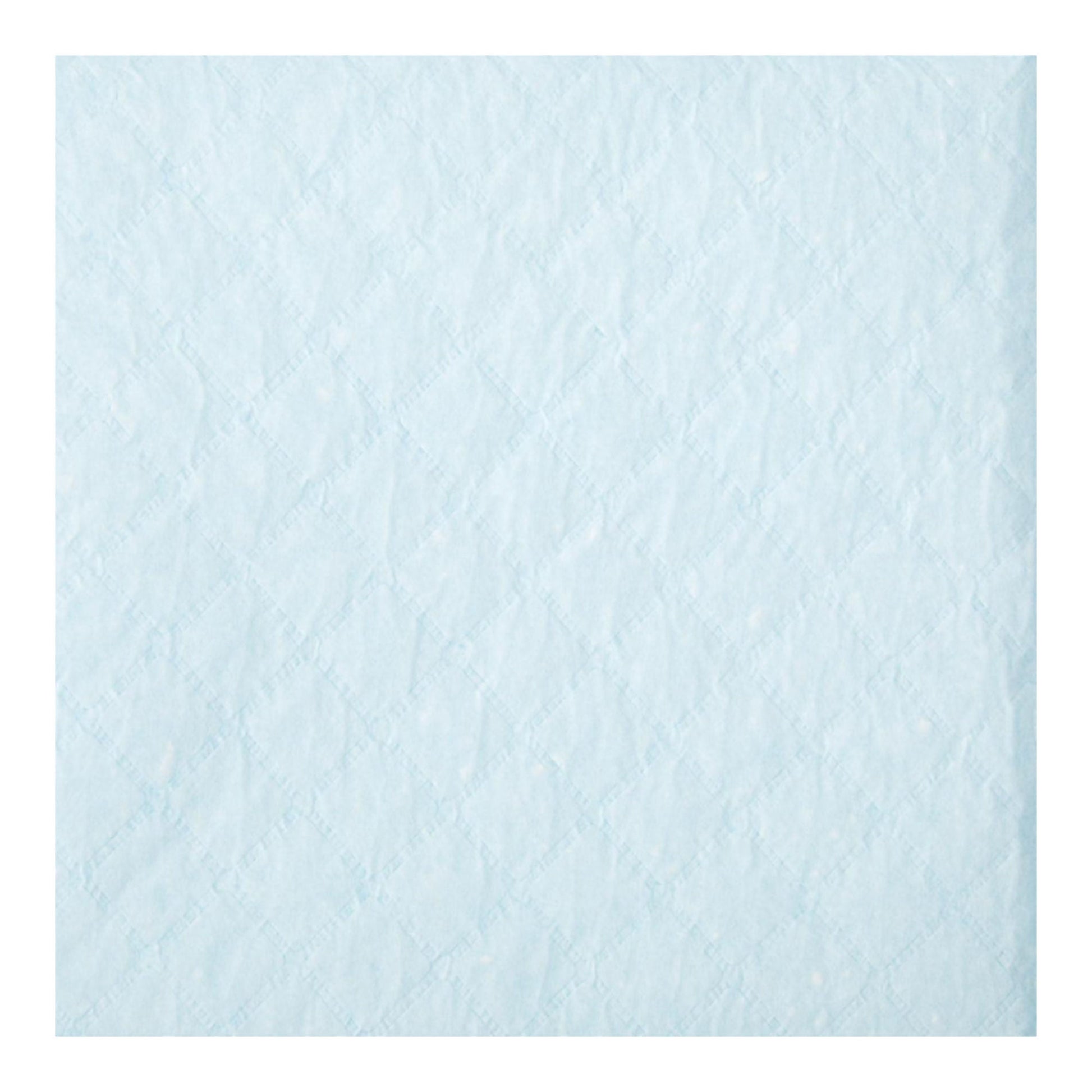 Protection Plus® Disposable Underpads from Medline, 23 Inch x 1 Yard