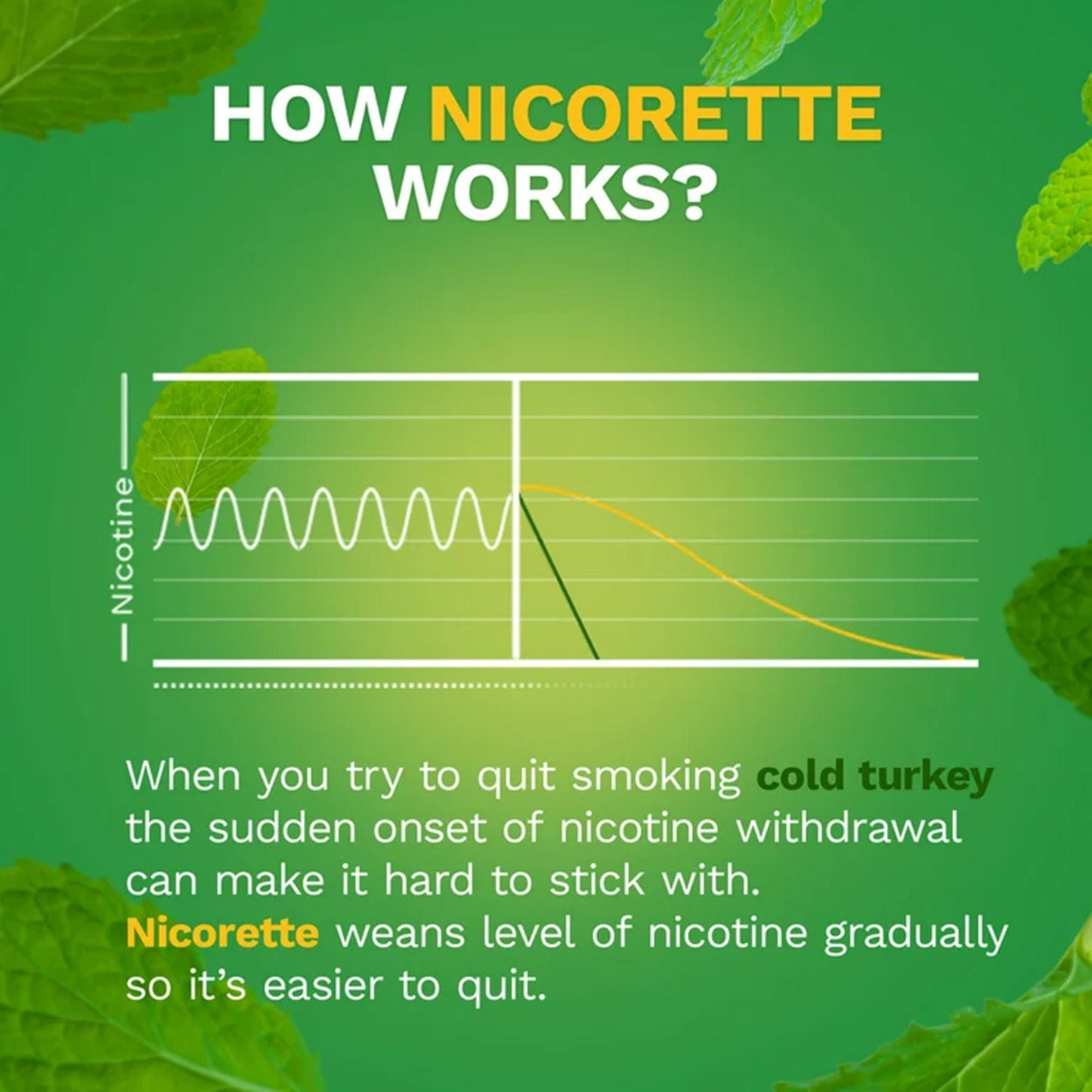 Nicorette Stop Smoking Aid Gum 4 mg Spearmint Burst with a Hint of Chamomile