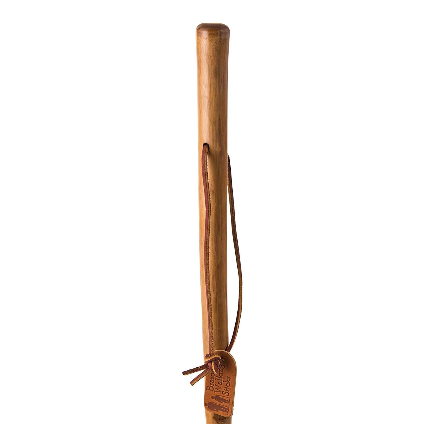 Brazos™ Iron Bamboo Rustic Walking Stick, 55 Inch Height, Red