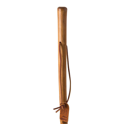 Brazos™ Iron Bamboo Rustic Walking Stick, 55 Inch Height, Red