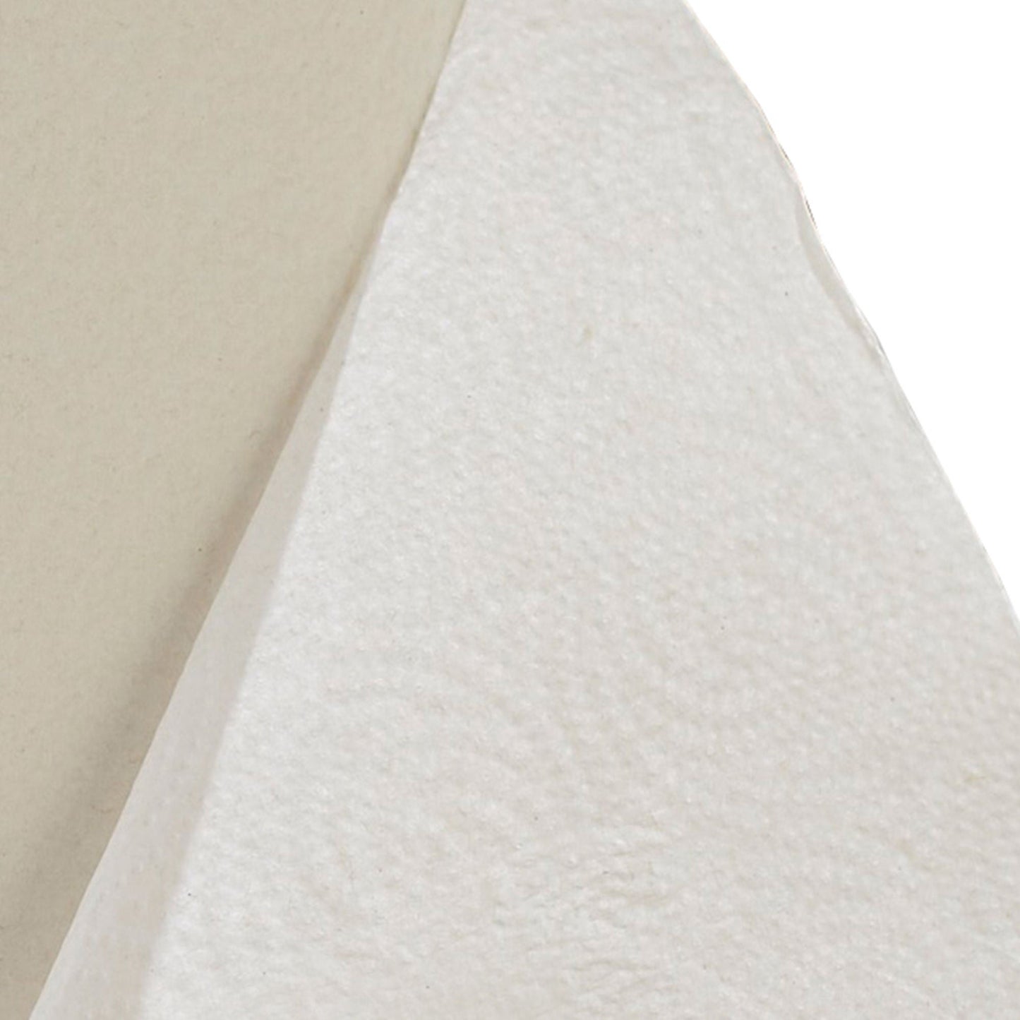 Pacific Blue Select™ Kitchen Paper Towel, 12