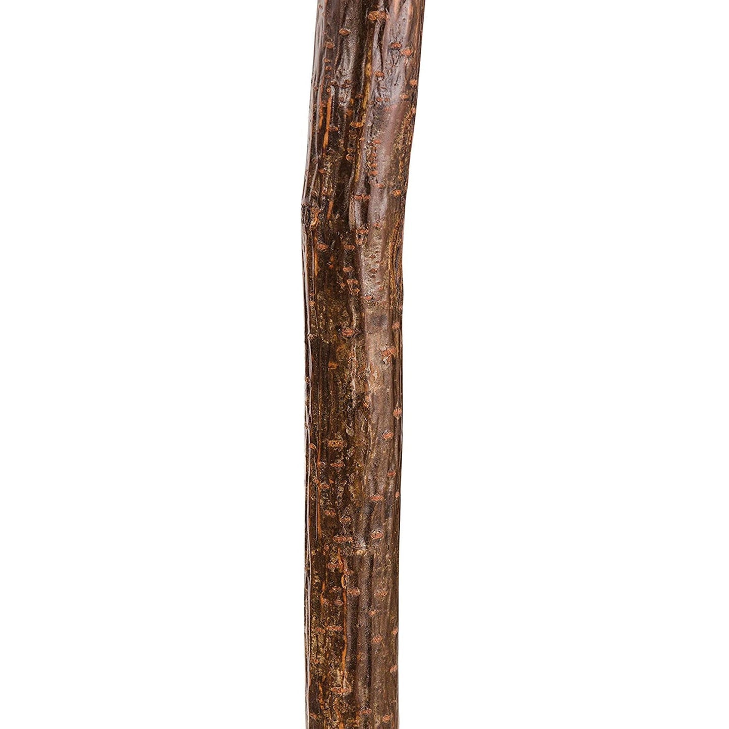 Brazos™ Assorted Hardwood Knob Root Rustic Walking Cane, 37-Inch Height