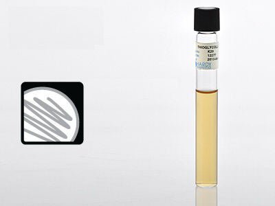 Prepared Media Thioglycollate Medium Beige Tube Format