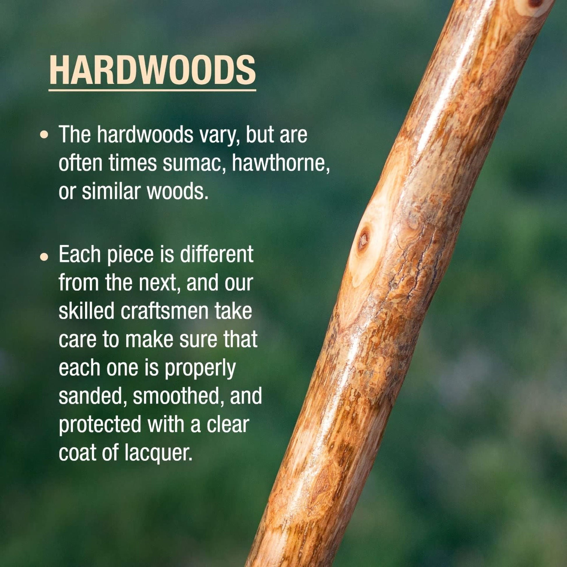 Brazos™ Assorted Hardwood Rustic Walking Stick, 41-Inch