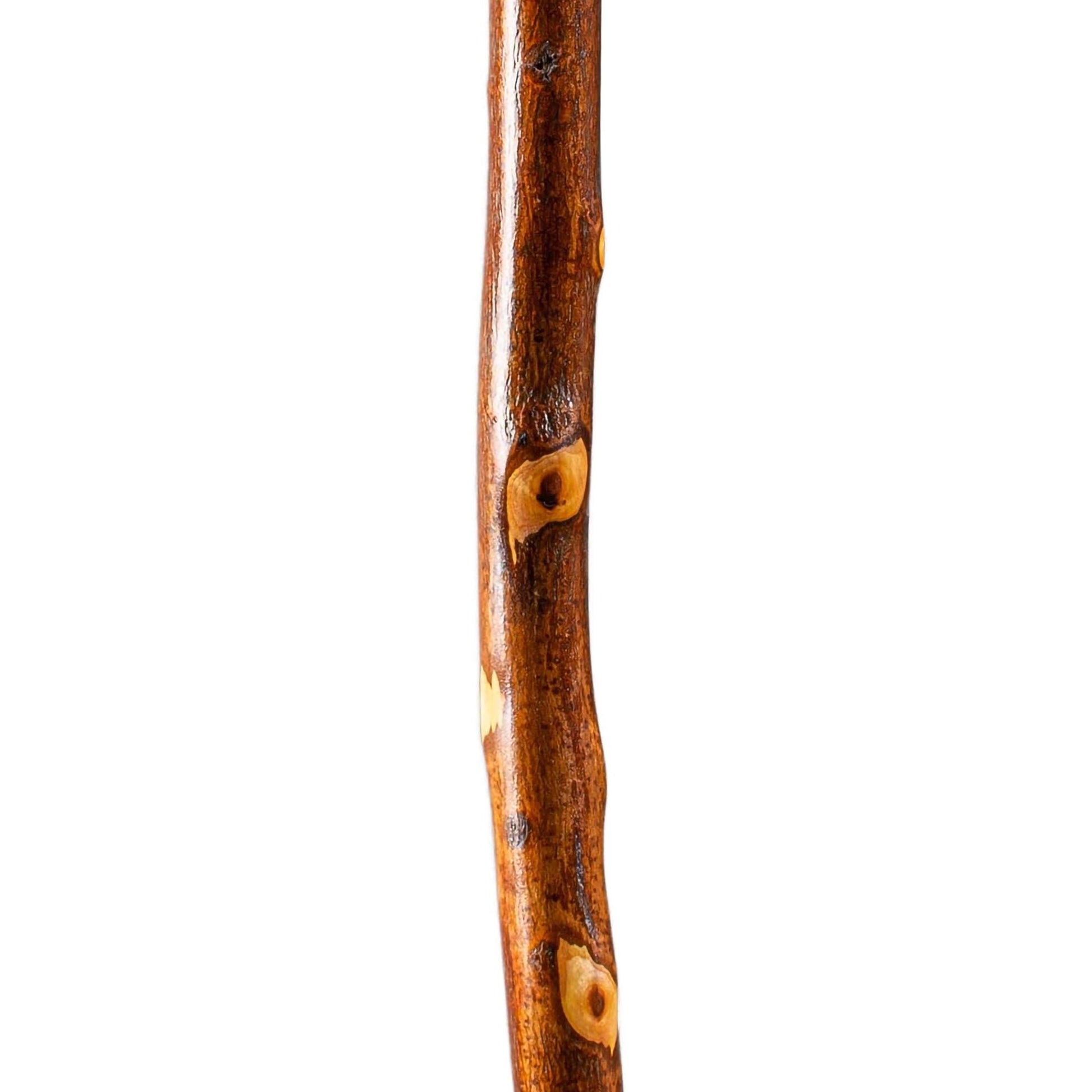 Brazos™ Hawthorn Rustic Walking Stick, 58-Inch Height
