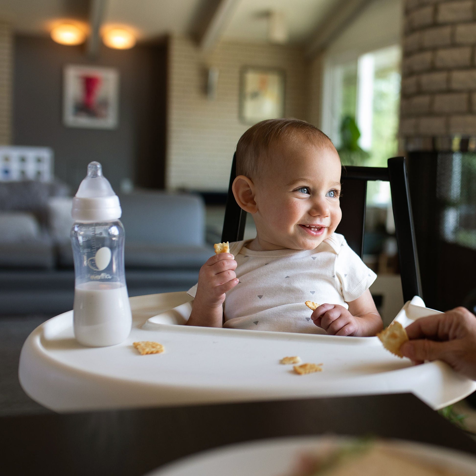 Evenflo® Feeding Balance + Standard Neck Baby Bottle