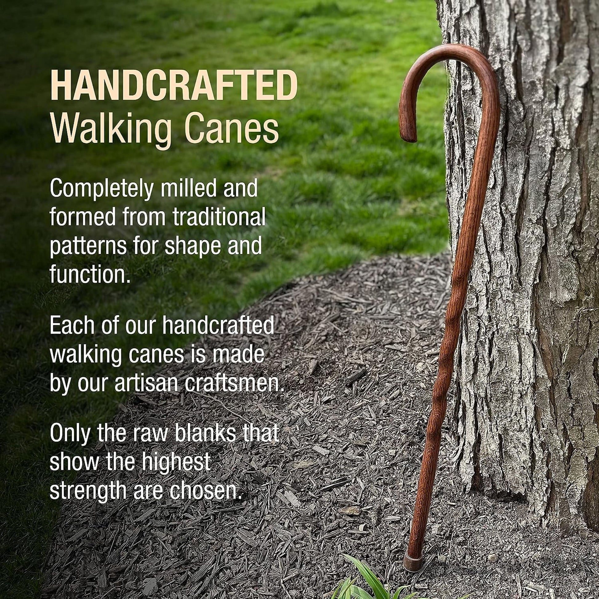 Brazos™ Twisted Oak Traditional Handcrafted Walking Cane, 37-Inch