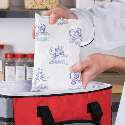 Nordic Ice Refrigerant Gel Pack For Safe Transport of Food, Pharmaceuticals and Medical Products