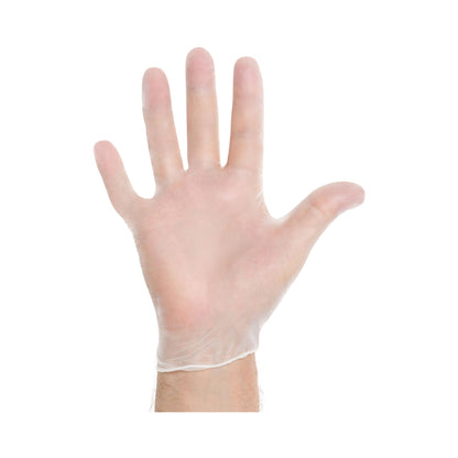 Halyard™ Vinyl Exam Gloves, Clear