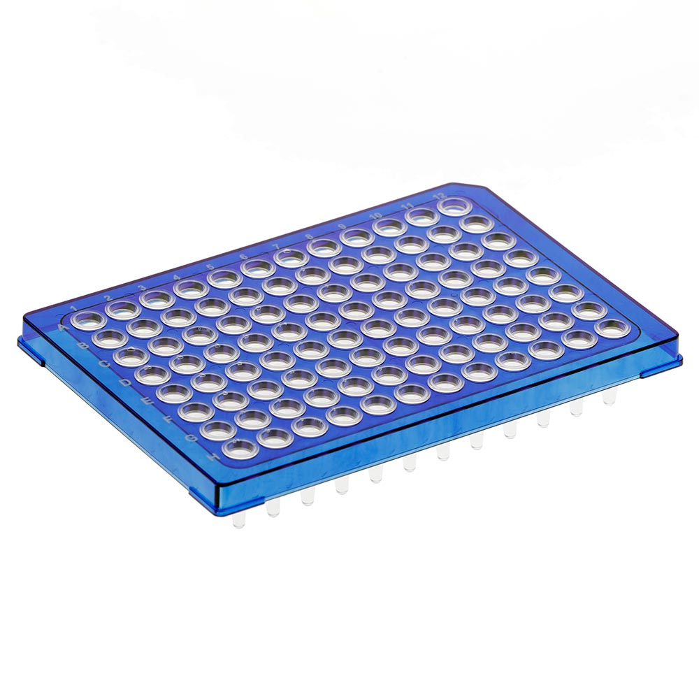 Diamond Shell 96-Well Half Skirt PCR Plate Blue Frame Case