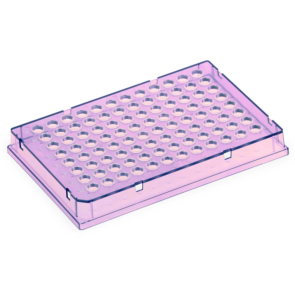 Diamond Shell 96-Well Full Skirt PCR Plate Violet Frame Case