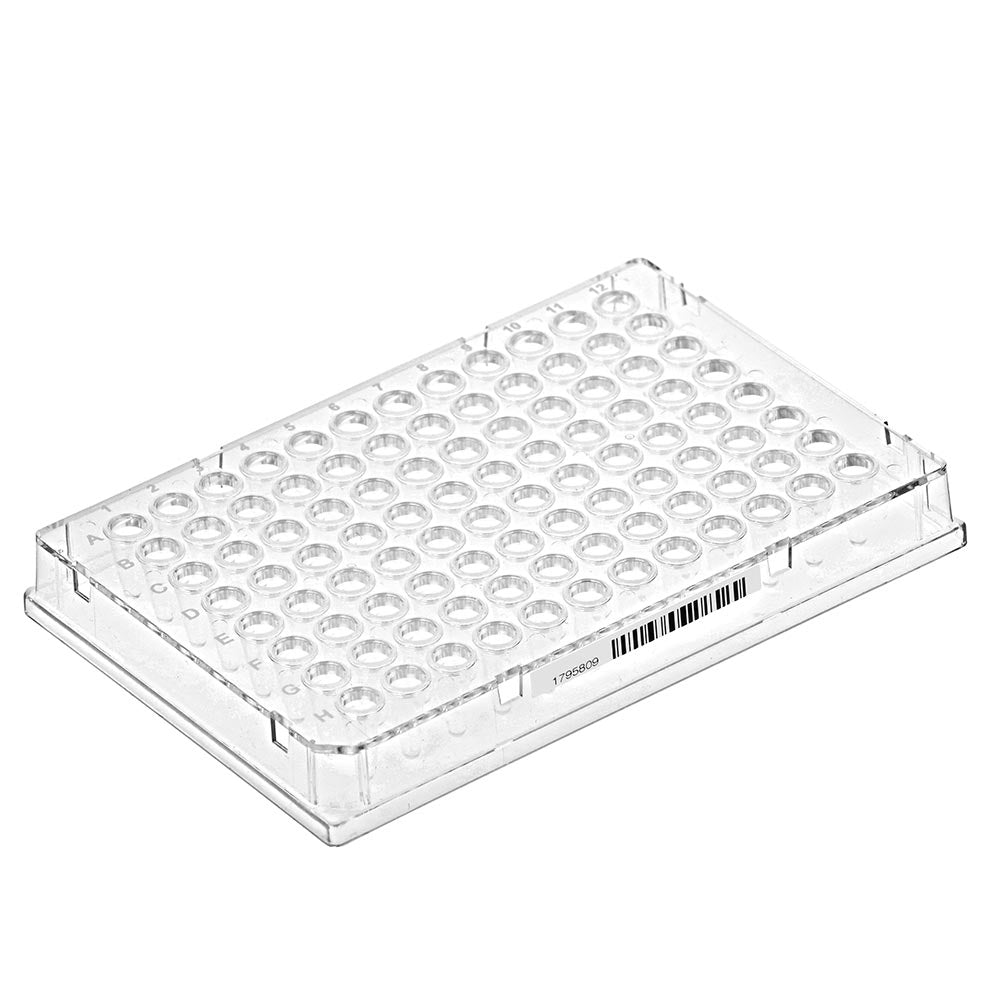 Diamond Shell 96-Well Full Skirt PCR Plate Clear Frame (Barcoded) Case