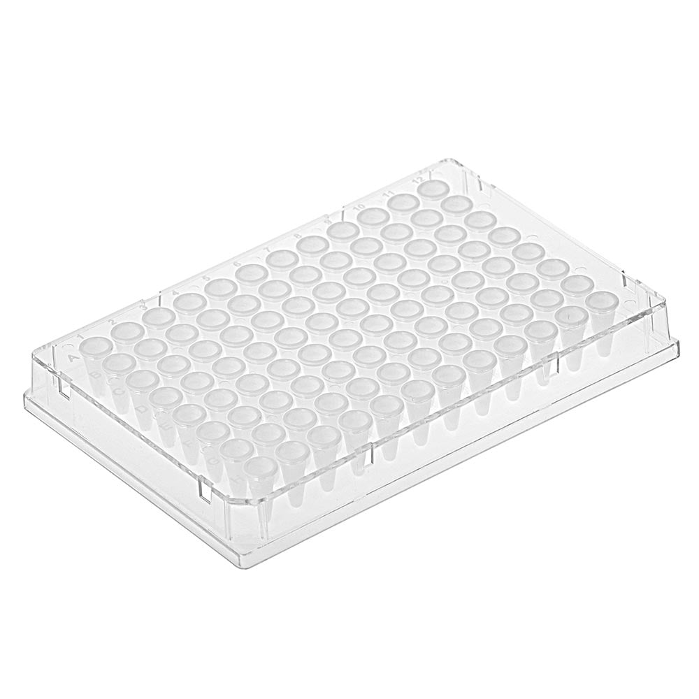 Diamond Shell 96-Well Full Skirt PCR Plate Clear Frame - White Wells Case