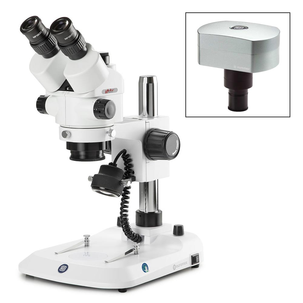 Trinocular Stereo Zoom Microscope StereoBlue, 7x–45x, Pillar & Rack-and-Pinion — 4 Configurations, 1/Unit | Globe Scientific