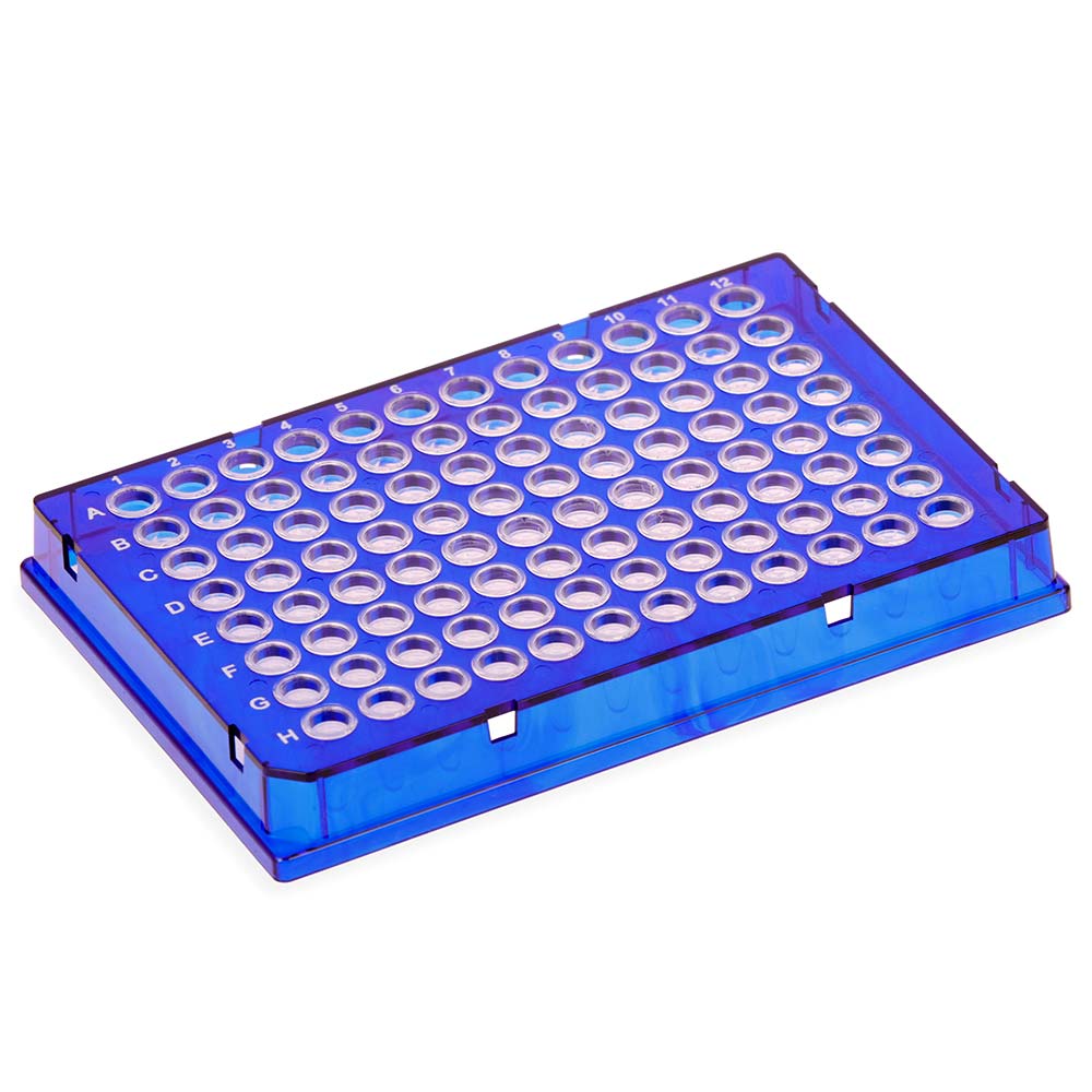 Diamond Shell 96-Well Full Skirt PCR Plate Blue Frame Case