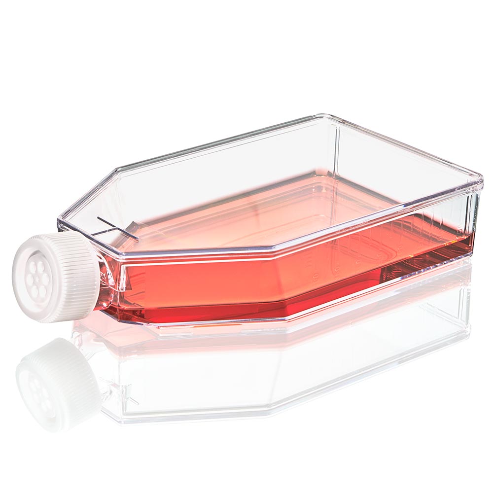 Globe Scientific Diamond SureGro 182cm² Cell Culture Flask Non-Treated Vent Cap TC-FLSK-182-V-NT
