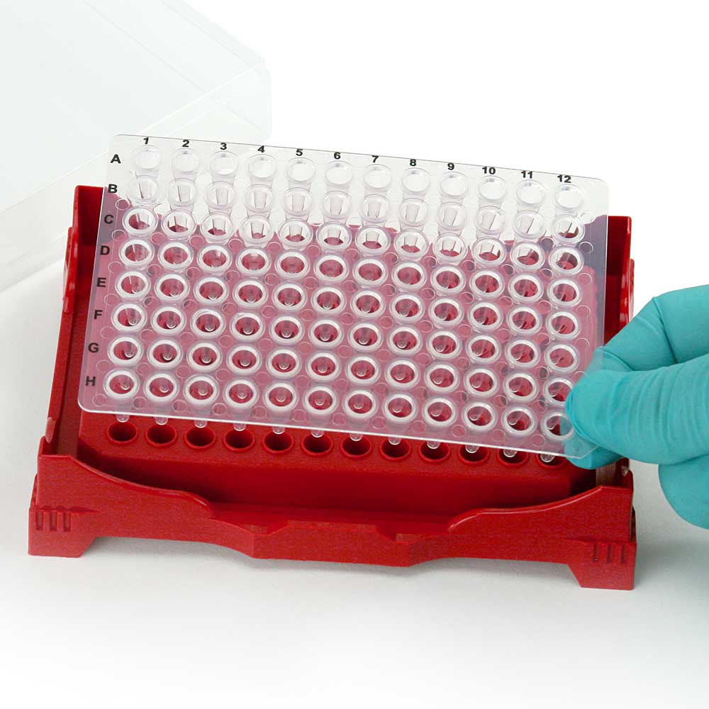 Globe Scientific Stackable PCR Work Rack Locking Lid