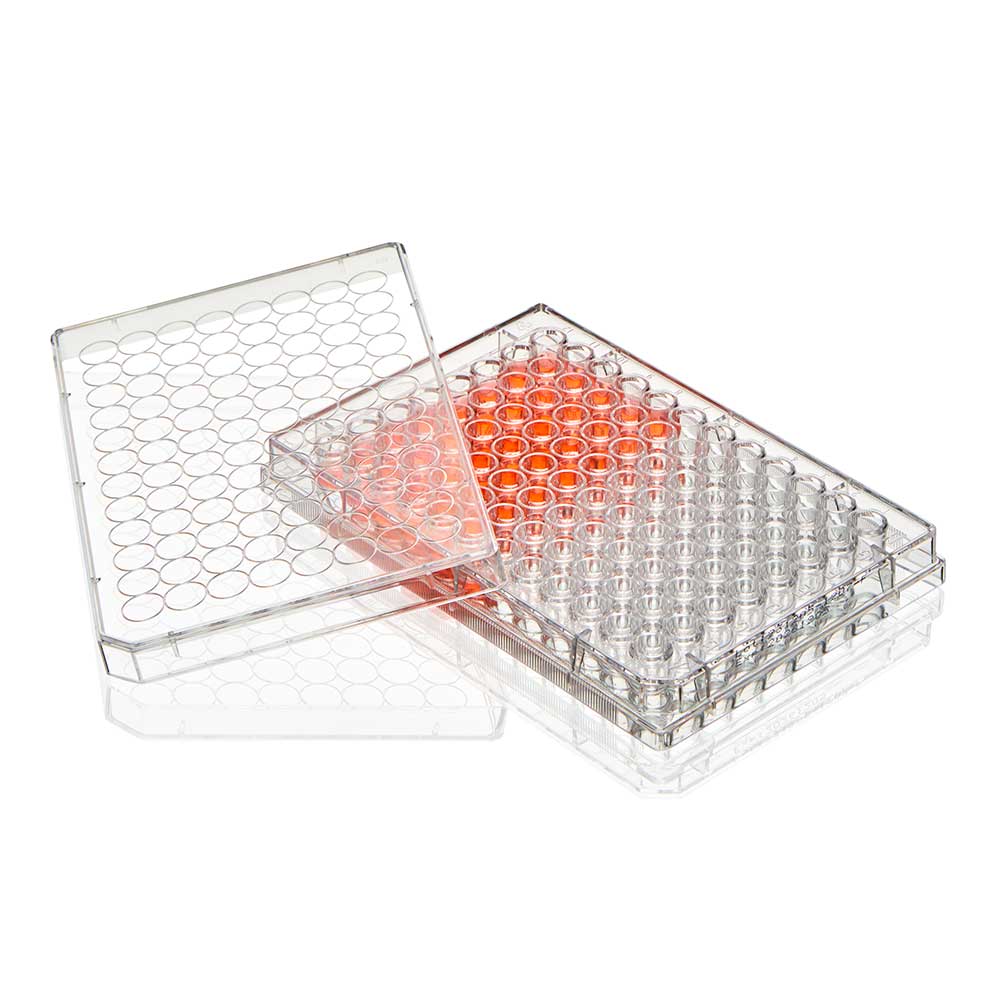 Globe Scientific Diamond SureGro 96-Well Cell Culture Plate TC-Treated TC-PLT-96-R