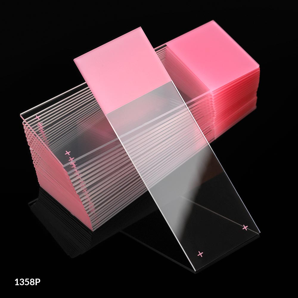 Diamond White Charged Microscope Slides, 25x75mm, 90° Ground Edges - Globe Scientific 1358