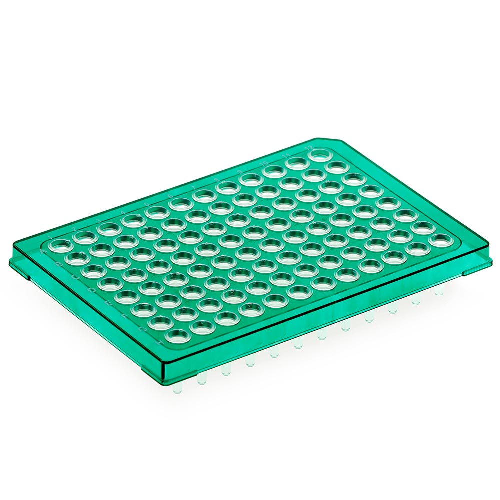 Diamond Shell 96-Well Half Skirt PCR Plate Green Frame Case