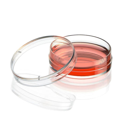 Globe Scientific Diamond SureGro Cell Culture Dish 35 x 10mm TC-DISH-35