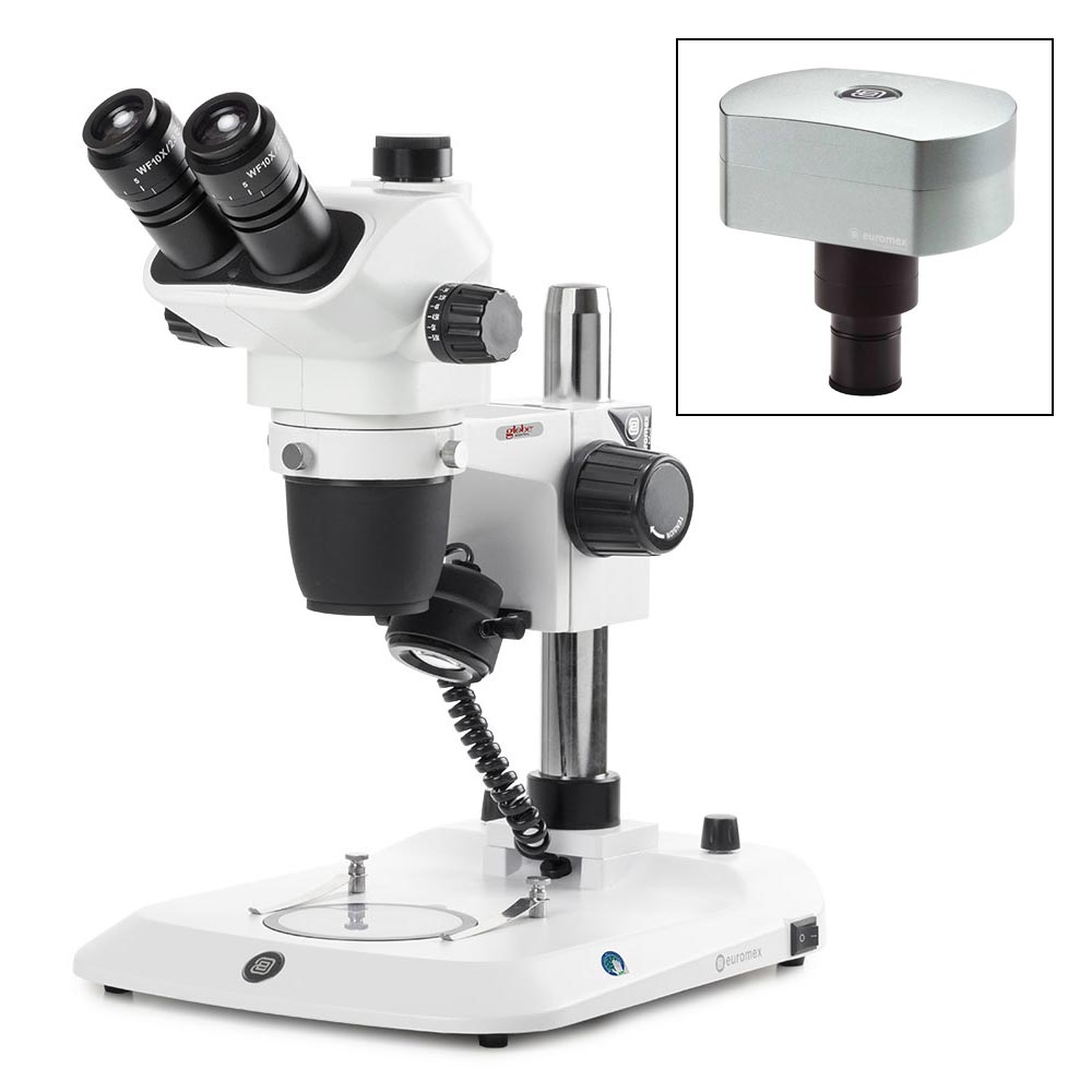 Trinocular Stereo Zoom Microscope, NexiusZoom EVO, 6.5x–55x, 0.65x–5.5x Objective — 6 Configurations, Sold Each | Globe Scientific