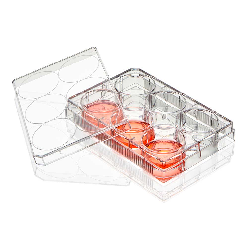 Globe Scientific Diamond SureGro 6-Well Cell Culture Plate Non-Treated TC-PLT-6-NT